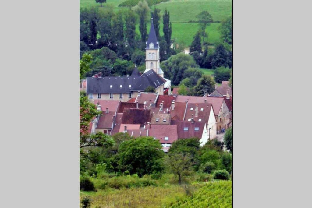 Maison Au Coeur Du Vignoble Jurassien 90 M2 Lavigny Экстерьер фото